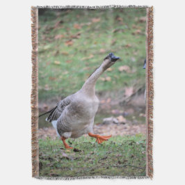 Alberne Gänseflockendecke Decke