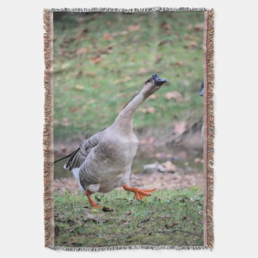 Alberne Gänseflockendecke Decke (Vorderseite Vertikal)