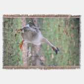 Alberne Gänseflockendecke Decke (Vorderseite)