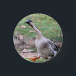 Alberne Gänsesilber Button<br><div class="desc">Bird</div>