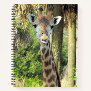 Alberne Giraffe - 8,5 x 11, 8,5 x 8,5 oder Herz Notizblock