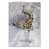 Alberne Giraffe im Winter (Vorne)
