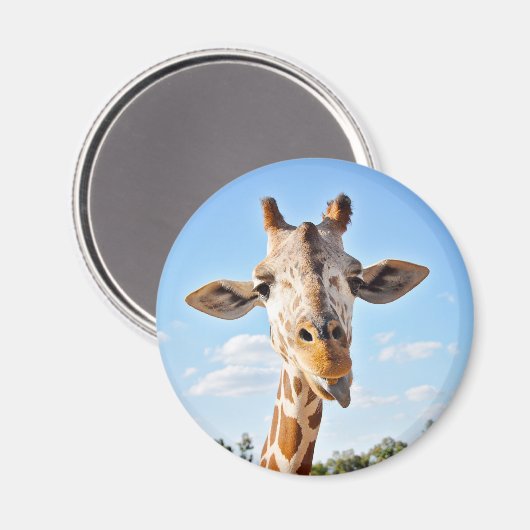 Alberne Giraffe Magnet (Vorderseite/Rückseite)