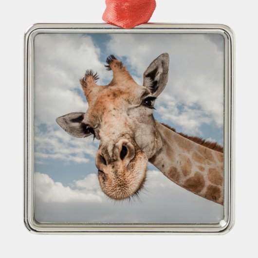Alberne Giraffe Ornament Aus Metall (Vorne)