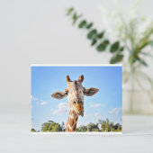 Alberne Giraffe Postkarte (Stehend Vorderseite)