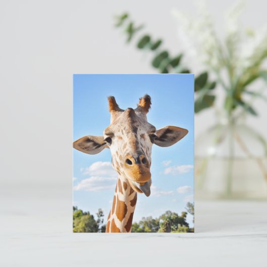 Alberne Giraffe Postkarte (Stehend Vorderseite)