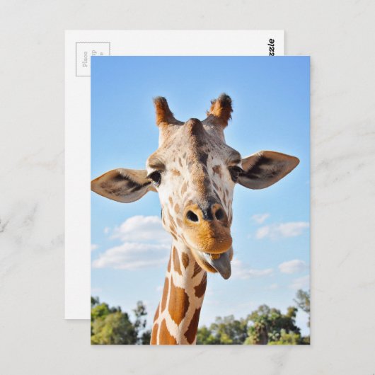 Alberne Giraffe Postkarte (Vorne/Hinten)