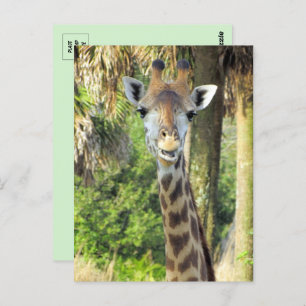 Alberne Giraffe Postkarte