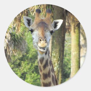 Alberne Giraffe-Sticker Runder Aufkleber