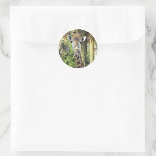 Alberne Giraffe-Stickers Runder Aufkleber (Tasche)