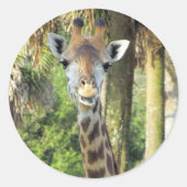 Alberne Giraffe-Stickers Runder Aufkleber (Vorderseite)