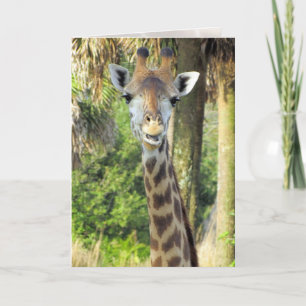 Alberne Giraffenkarte Karte