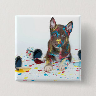 Alberne Husky-Welpe got in Paint-Ester Button