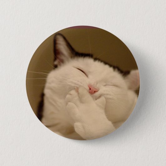 Alberne Katze Buton Button (Vorderseite)