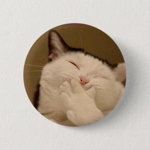 Alberne Katze Buton Button
