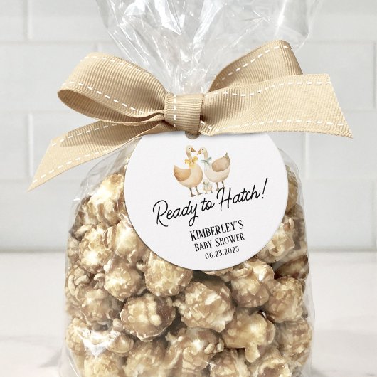 Alberne kleine Gänse bereit für Hatch Baby Dusche Geschenkanhänger