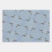 Alberne Landung Pelican Pic Wrapping Paper Sheets Geschenkpapier Set (Vorderseite 3)