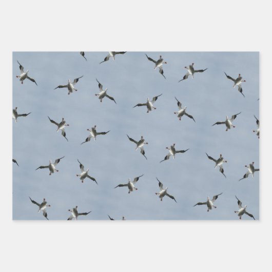 Alberne Landung Pelican Pic Wrapping Paper Sheets Geschenkpapier Set (Vorderseite 2)