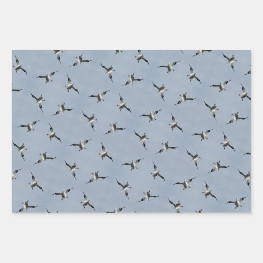 Alberne Landung Pelican Pic Wrapping Paper Sheets Geschenkpapier Set (Vorderseite)