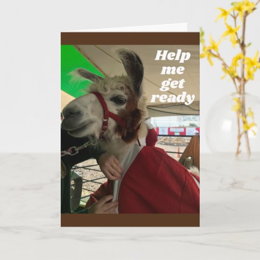 **ALBERNE LLAMA** SAY FAPPY BIRTHDAY CARD KARTE (Gelbe Blume)