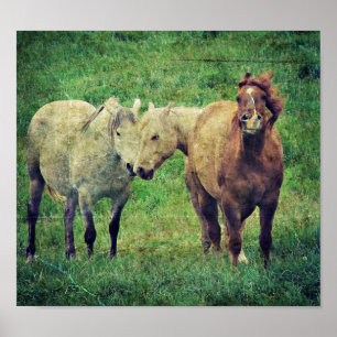 Alberne Pferde Poster