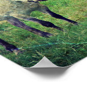 Alberne Pferde Poster (Ecke)