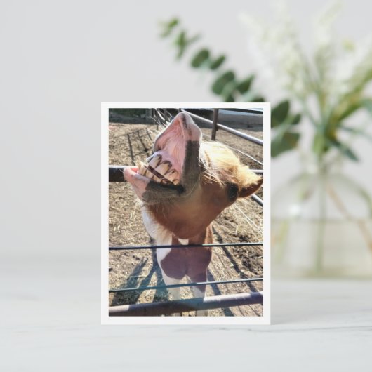 Alberne Postkarte (Stehend Vorderseite)