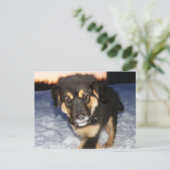 Alberne Postkarten (Stehend Vorderseite)