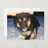 Alberne Postkarten (Vorne/Hinten)