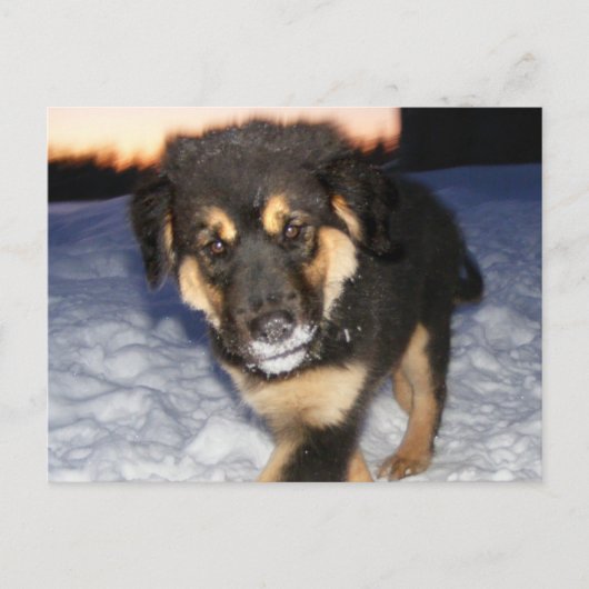 Alberne Postkarten (Vorderseite)