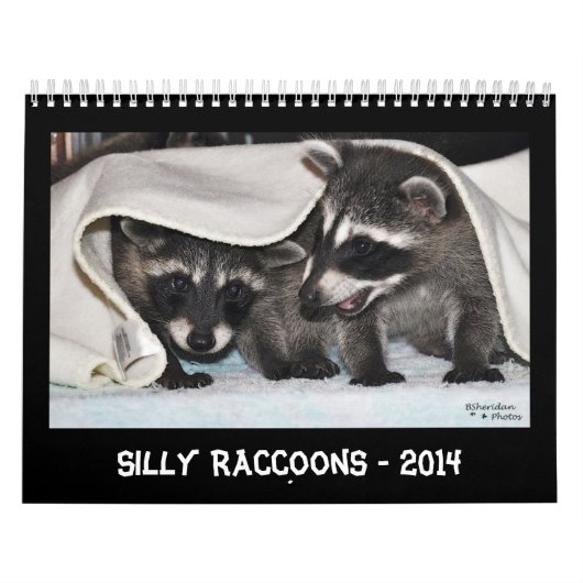 Alberne Raccoons - Kalender 2014 (Titelbild)