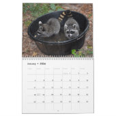 Alberne Raccoons - Kalender 2014 (Jan 2026)