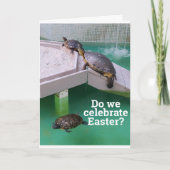 **ALBERNE TÜRKEI** WÜNSCHEN SIE SICH "OSTERE" KARTE (Vorderseite)