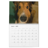 Alberne Unterkünfte Kalender (Mär 2027)