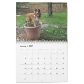 Alberne Unterkünfte Kalender (Jan 2027)