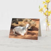 Alberne Ziege Karte (Gelbe Blume)