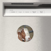 Alberne Ziege Magnet (In Situ (Geschirrspüler))