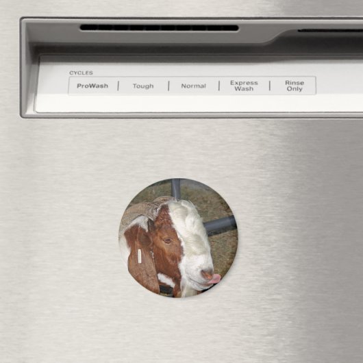 Alberne Ziege Magnet (In Situ (Geschirrspüler))