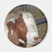 Alberne Ziege Magnet (Vorne)