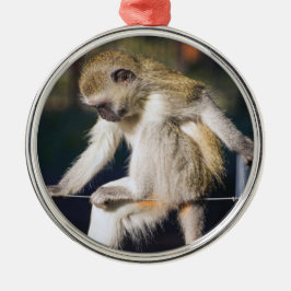Alberner Affe Ornament Aus Metall