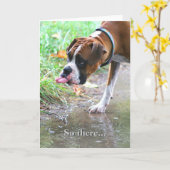 Alberner Boxer-Hundstich, der die Grußkarte heraus Karte (Gelbe Blume)