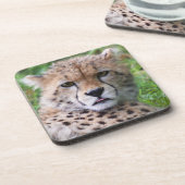 Alberner Cheetah Cub Square Getränkeuntersetzer (Linke Seite)