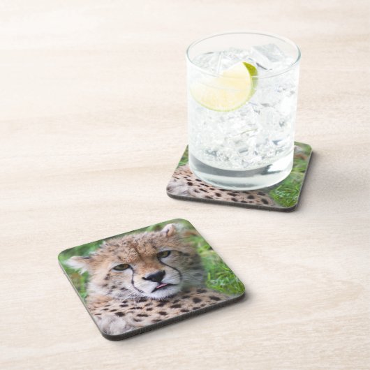 Alberner Cheetah Cub Square Getränkeuntersetzer (Rechte Seite)
