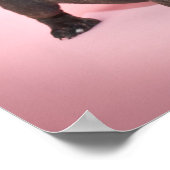 Alberner französischer Bulldog Welpe bereit zum Sp Poster (Ecke)