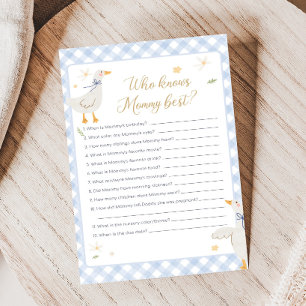 Alberner Gänse-Gingham-Baby-Shower-Wer-weiß-Spiel