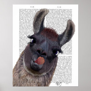 Alberner Lama Poster