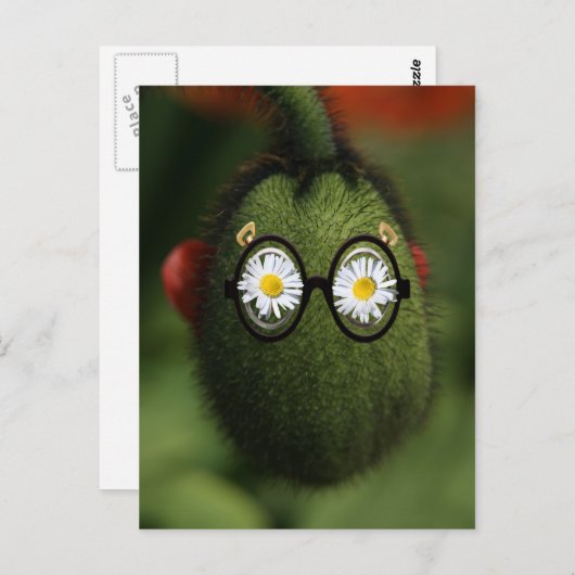 alberner Mohn Postkarte (Vorne/Hinten)