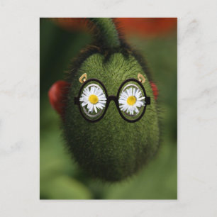 alberner Mohn Postkarte