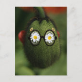 alberner Mohn Postkarte (Vorderseite)