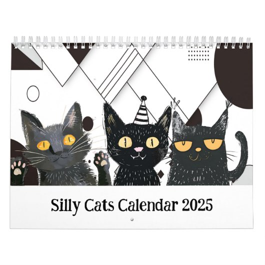 Alberner Schwarz-Weiß-Kalender Kalender (Titelbild)